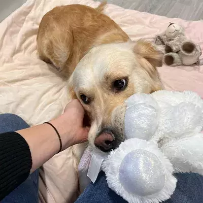 Search for news and stories