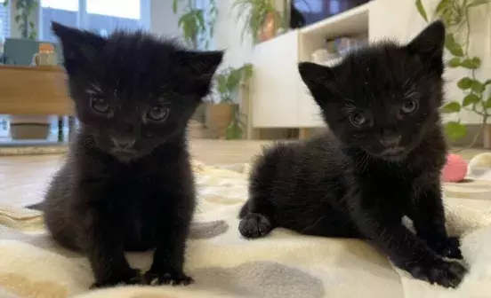 Search for news and stories