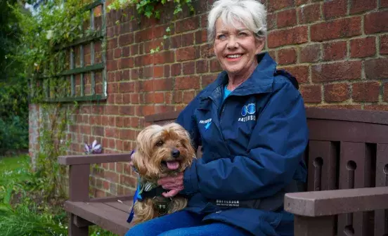 Search for news and stories