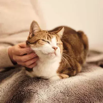 Search for news and stories