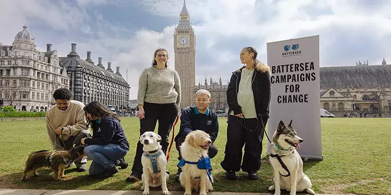 SLIDE - Animal Welfare Campaigning 