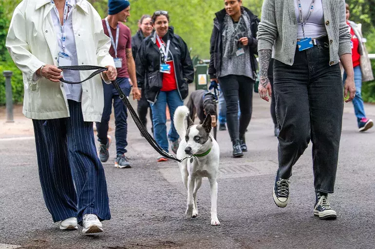 BA - Battersea Academy Slider