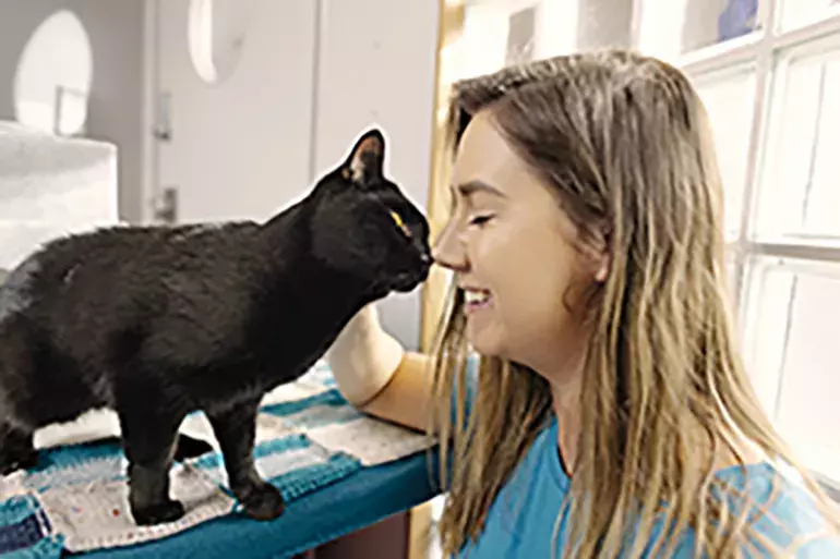 Search for news and stories