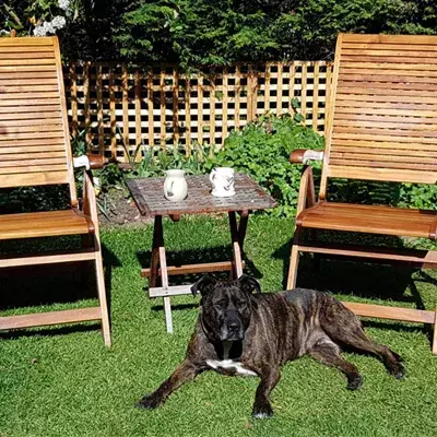 Search for news and stories