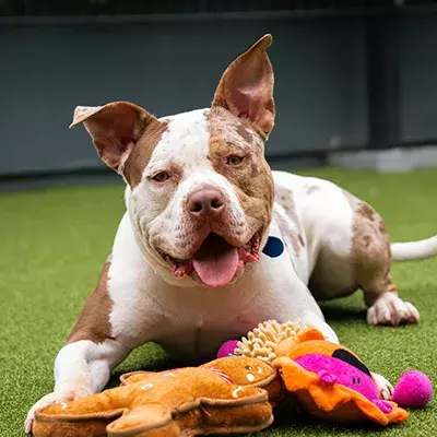 Search for news and stories