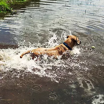 Search for news and stories