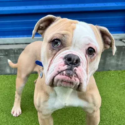 Search for news and stories