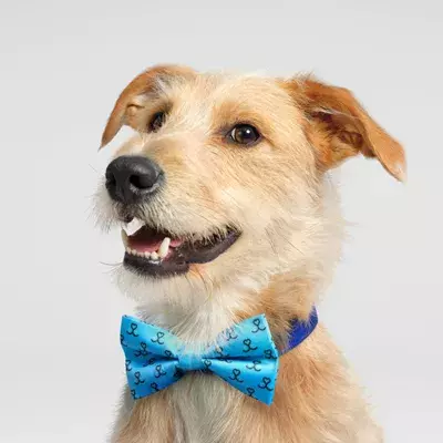 Search for news and stories