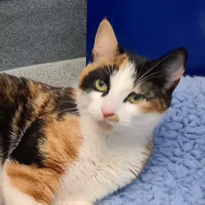 Search for news and stories