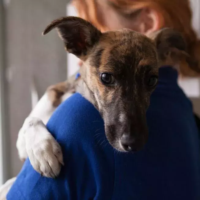 Search for news and stories