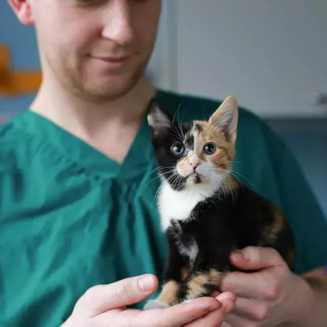 Search for news and stories