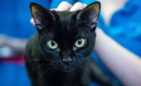 Search for news and stories