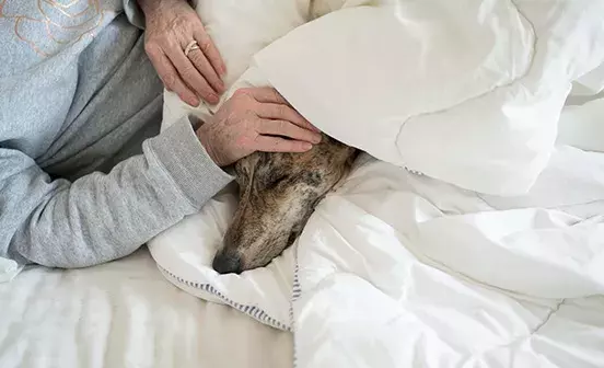 Search for news and stories