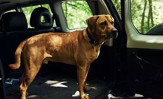 Search for news and stories