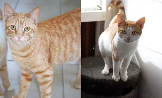 Search for news and stories