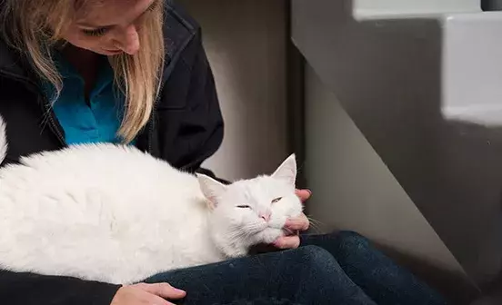 Search for news and stories