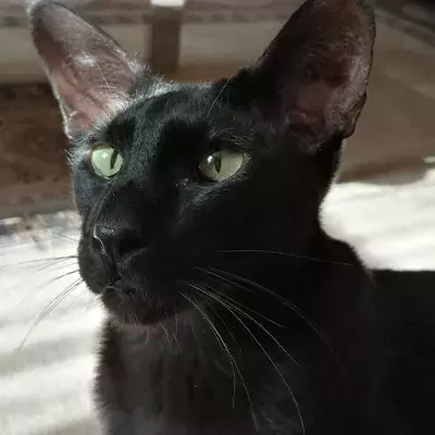 Search for news and stories