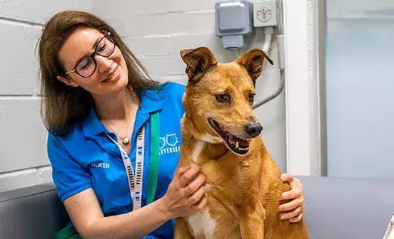 Search for news and stories