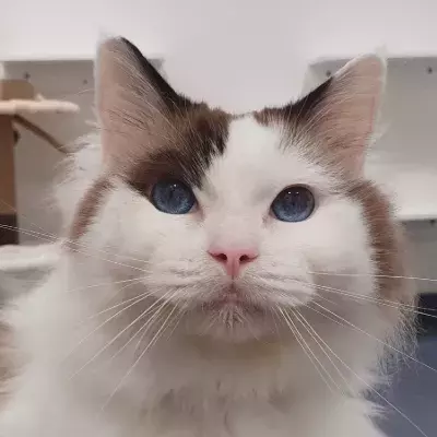 Search for news and stories