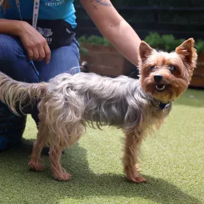 Search for news and stories