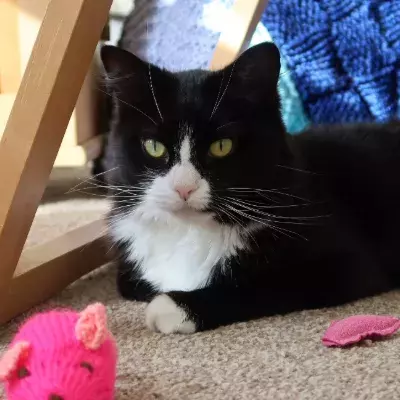 Search for news and stories