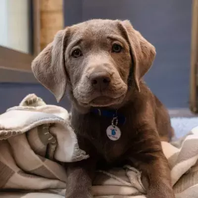 Search for news and stories