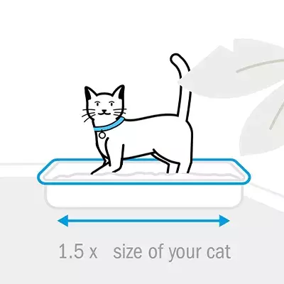 Cat friendly toileting facilities 