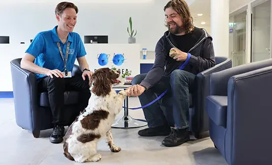 Spaniel shaking a mans paw