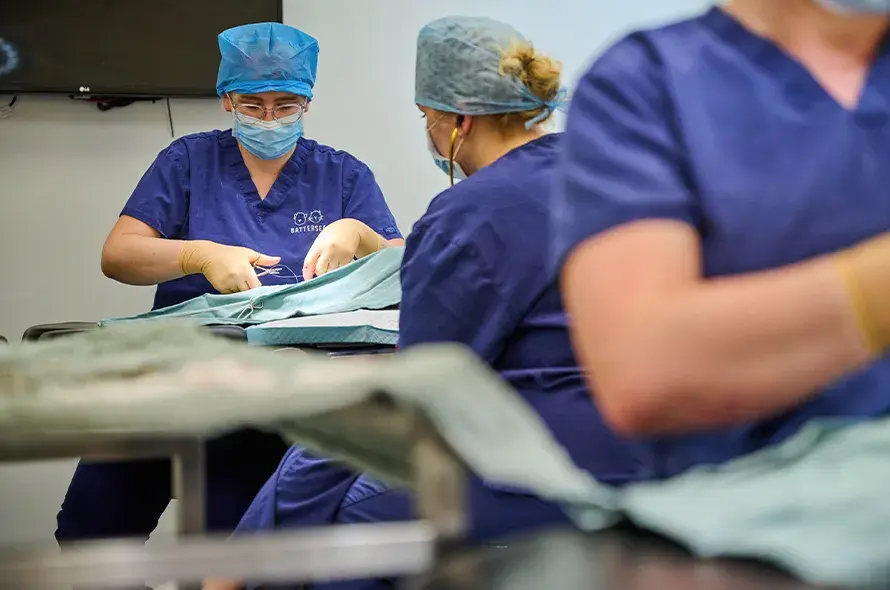 A group of vets performing surgery
