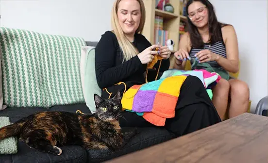 Two people crocheting and a cat sitting with them