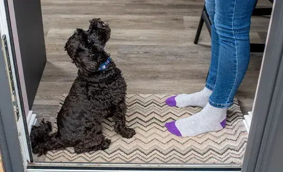 Black Cockapoo sat on door mat