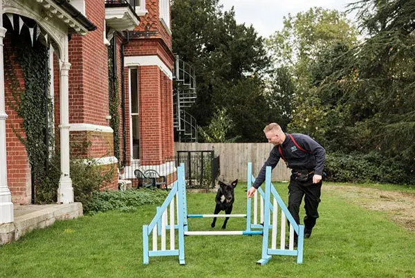 Dog training jumping over obstacles in a playground area outdoors assisted by Battersea staff member